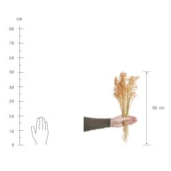 Trockenblumen Linium Länge 50cm FLOWER MARKET In Pastellorange -Butlers butlers trockenblumen linium lange 50cm flower market in pastellorange 2